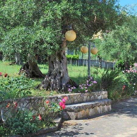 Lefkothea Apartments Kassiopi Luaran gambar